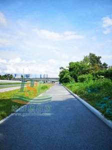 深圳沙河西路快速化改造工程透水地坪項目